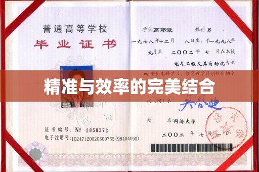 崇左精准与效率的完美结合